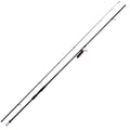 BLACKROCK MULLET MASTER 12'
